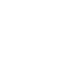 Winter Icon